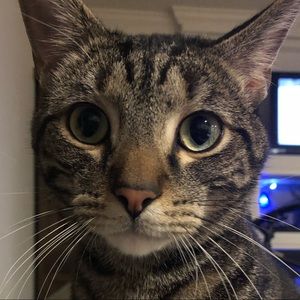 Meet your Posher, Veronica